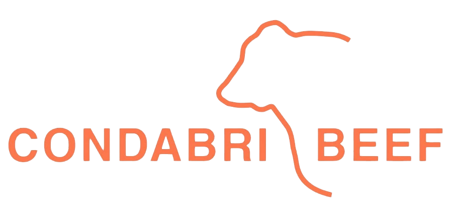 Drury Farming Company Pty Ltd / Condabri Beef